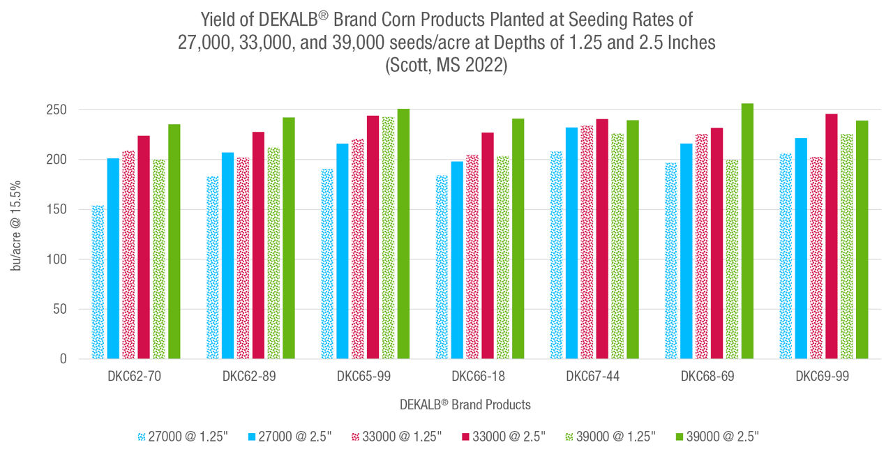 Yields of seven DEKALB® brand corn products planted at seeding rates of 27,000, 33,000, and 39,000 seeds/acre at seeding depths of 1.25 and 2.5 inches. Bayer Learning Center at Scott, MS in 2022. 